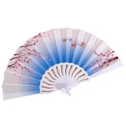 Hand Fan