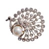 Fancy Brooch Pin