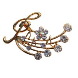 Fancy Brooch Pin