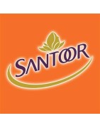 Santoor